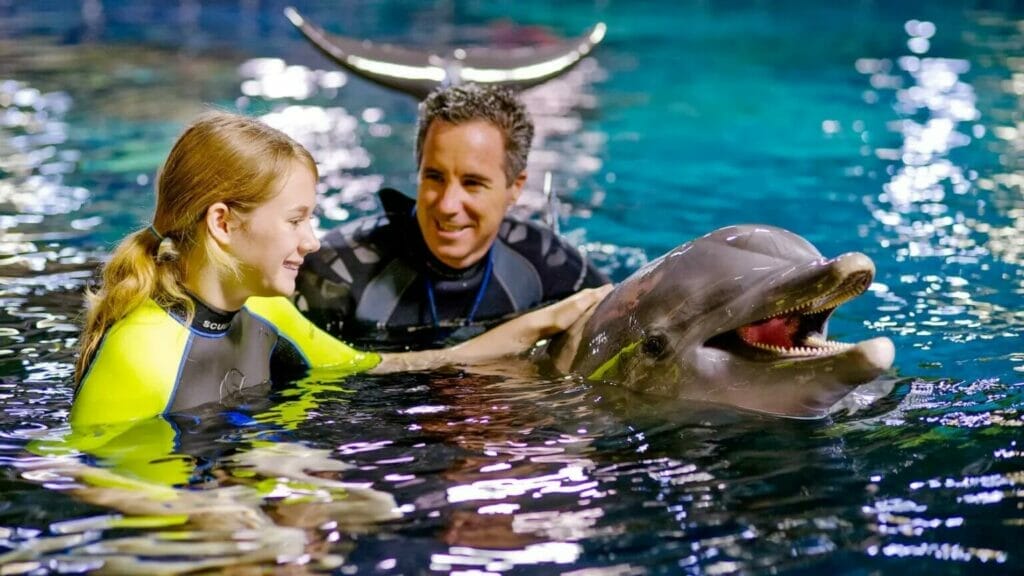 Girl in a tank with a dolphin and trainer
