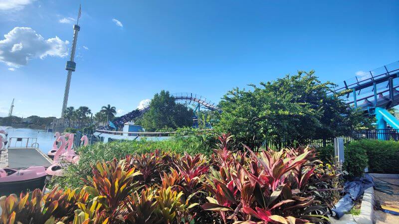 Looking over some foliage towards Mako's return to station
