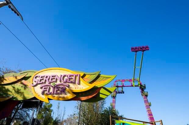 The twin arms of Serengeti Flyer swing high under testing ahead of the opening on a bright day at Busch Gardens Tampa