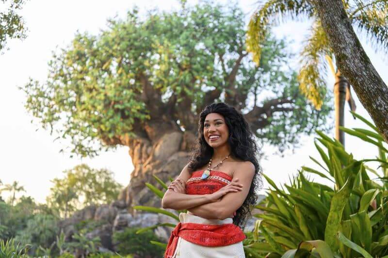 Moana character standing in front of the Tree Of Life in Disney's Animal Kingdom