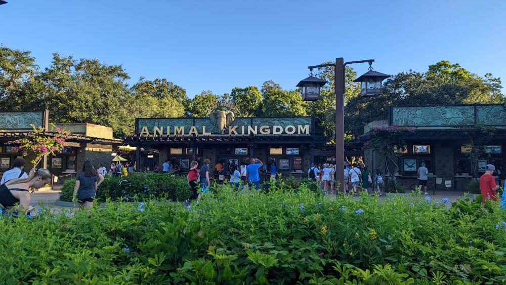 Looking over flower beds at the entrance to Animal Kingdom.